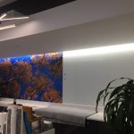 Irving Custom Vinyl Wall Murals IMG 4730 150x150