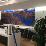 Irving Custom Vinyl Wall Murals IMG 4733 150x150